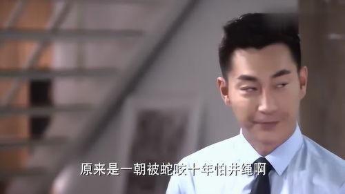 以琛律师最新爆料,揭秘娱乐圈惊天秘密